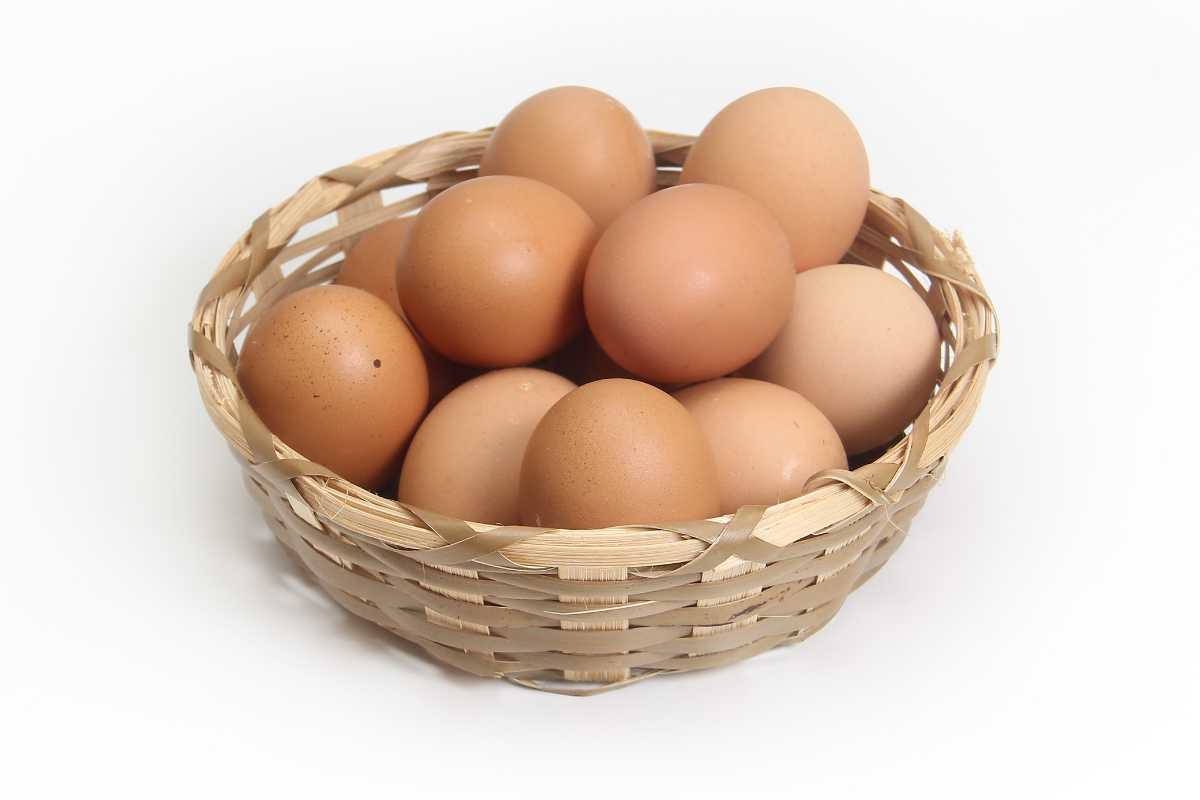 Not Diversifying Your Portfolio